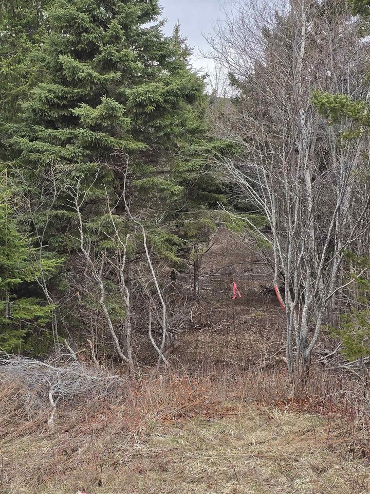 Property Photo:  25-1 Middle River Road  NS B0K 2A0 