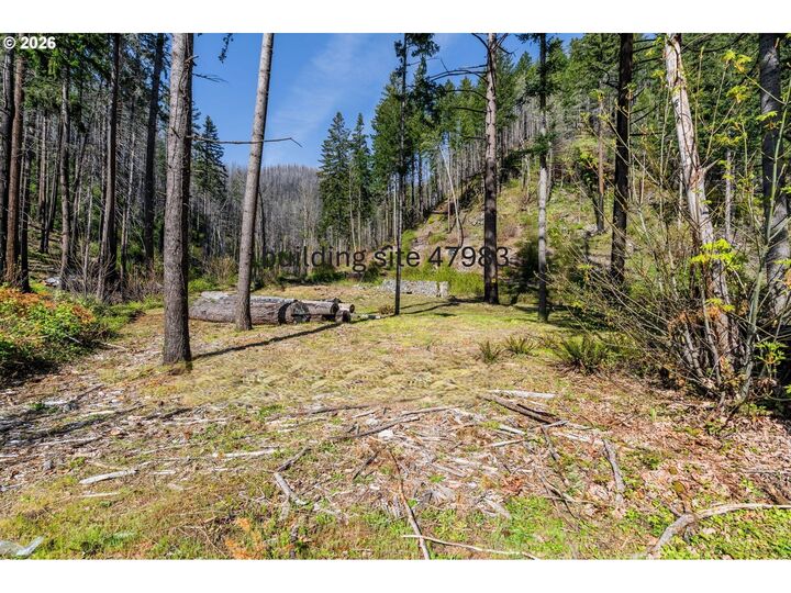 Property Photo:  47975 87 McKenzie Hwy  OR 97488 