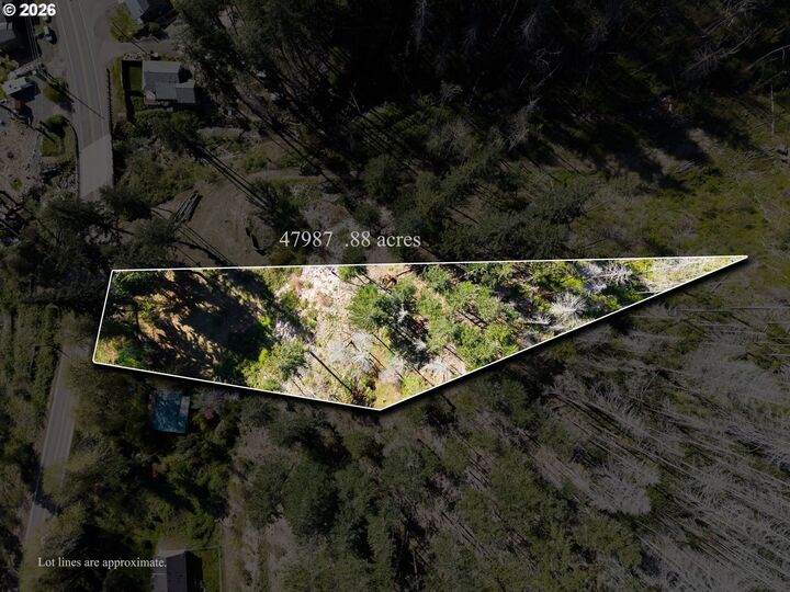 Property Photo:  47975 87 McKenzie Hwy  OR 97488 