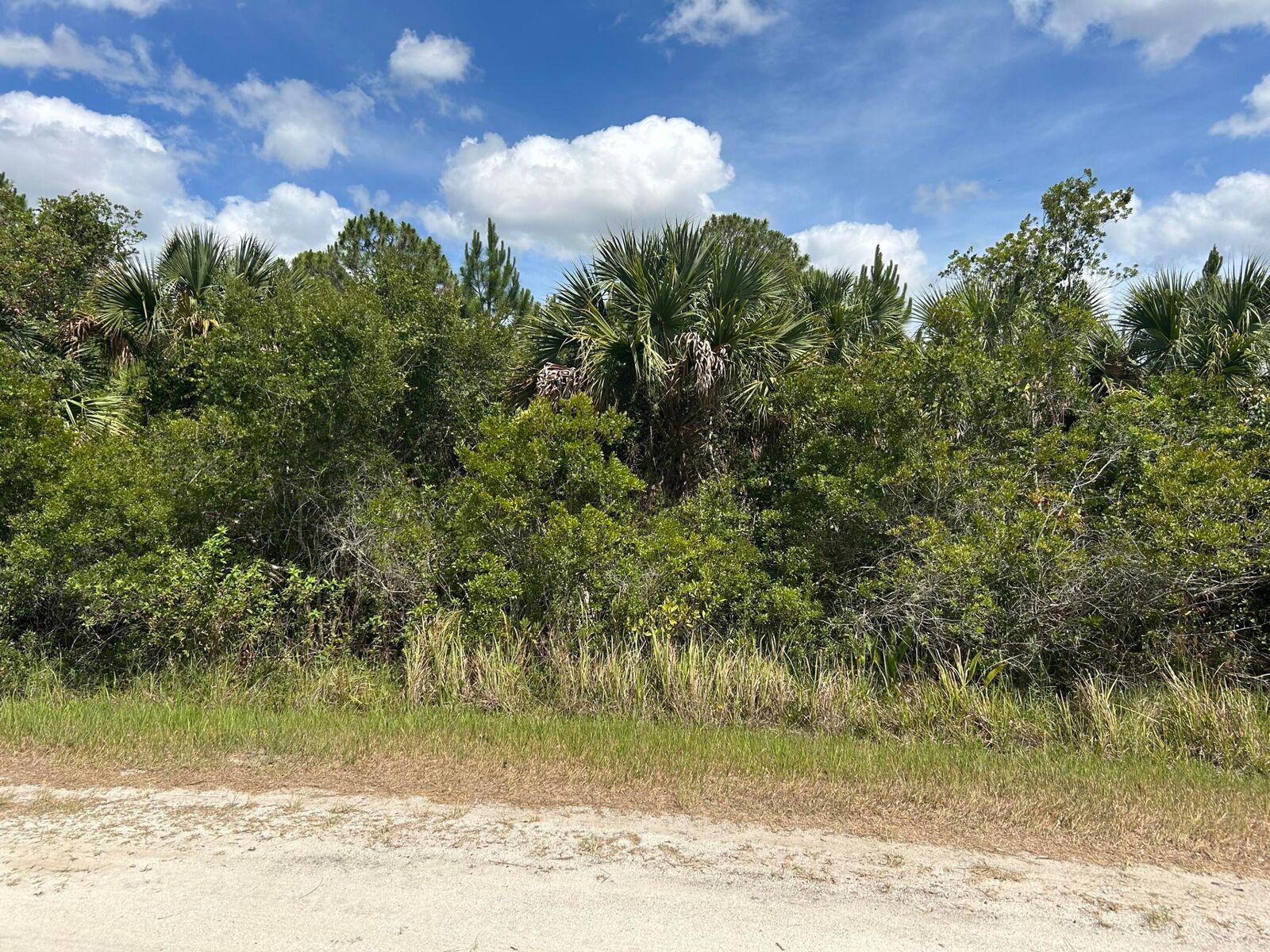 Property Photo:  608 SW Lynn St Street  FL 32908 