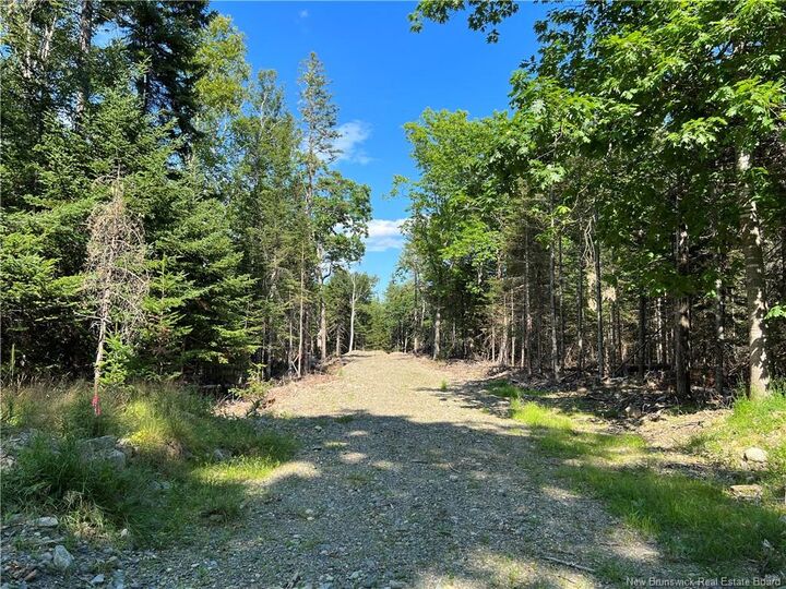 Property Photo: - Hills Point Road NB E3L 4J6