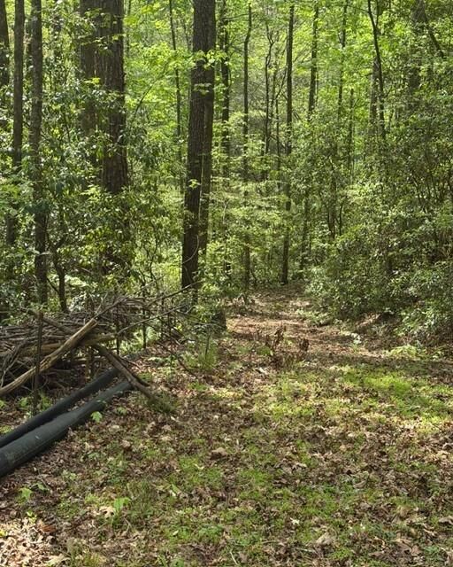 Property Photo:  348 Hemlock Trail  GA 30540 