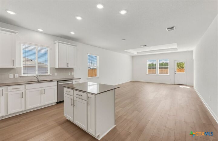 Property Photo:  1507 Sky Vista Drive  TX 76513 
