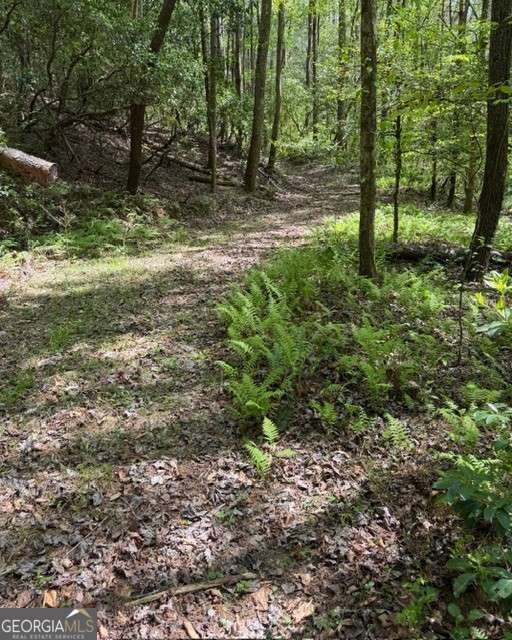 Property Photo:  348 Hemlock Trail  GA 30540 