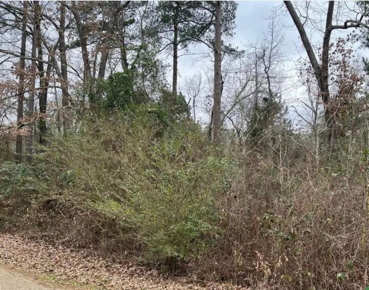 Property Photo:  Tbd Arrowhead Dr  TX 75657 