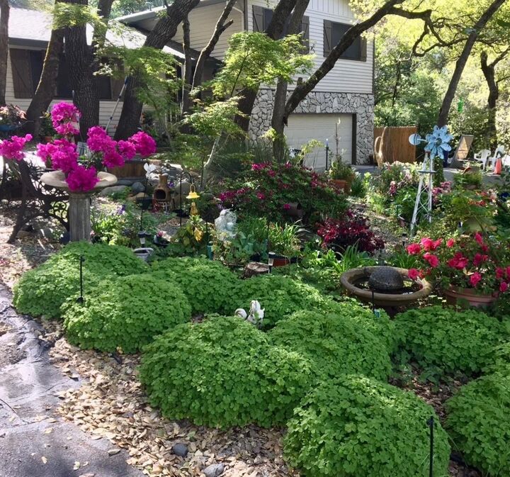 Property Photo:  6320 Zamora Drive  CA 95667 