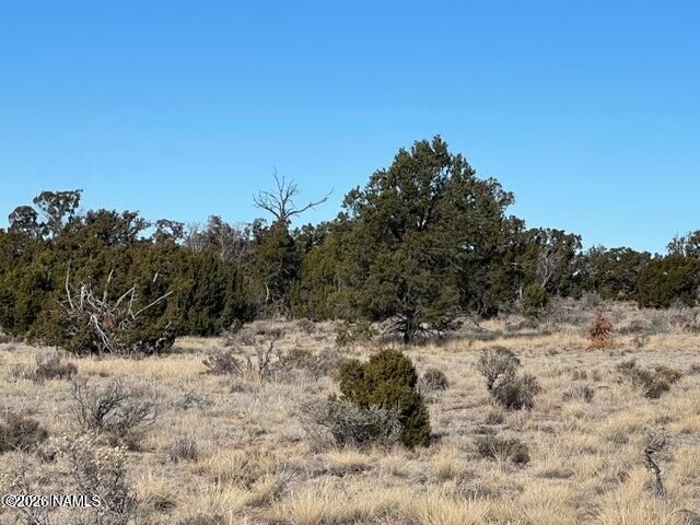 Property Photo:  1282 Watchtower  AZ 86046 