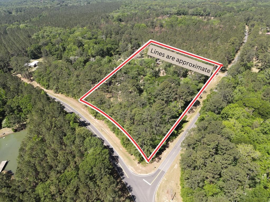 Property Photo:  12 Acres Collins Road  GA 39828 