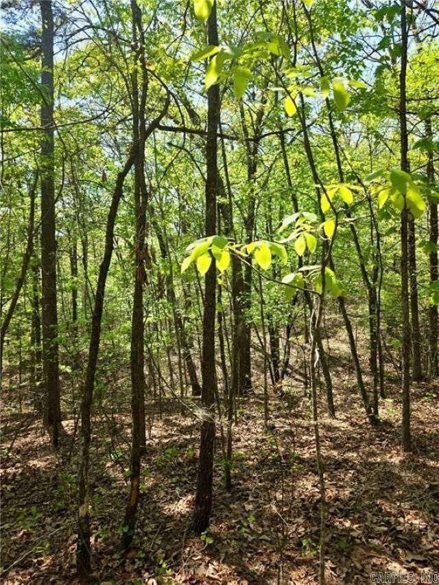 Property Photo:  Fsr 1471  AR 72830 