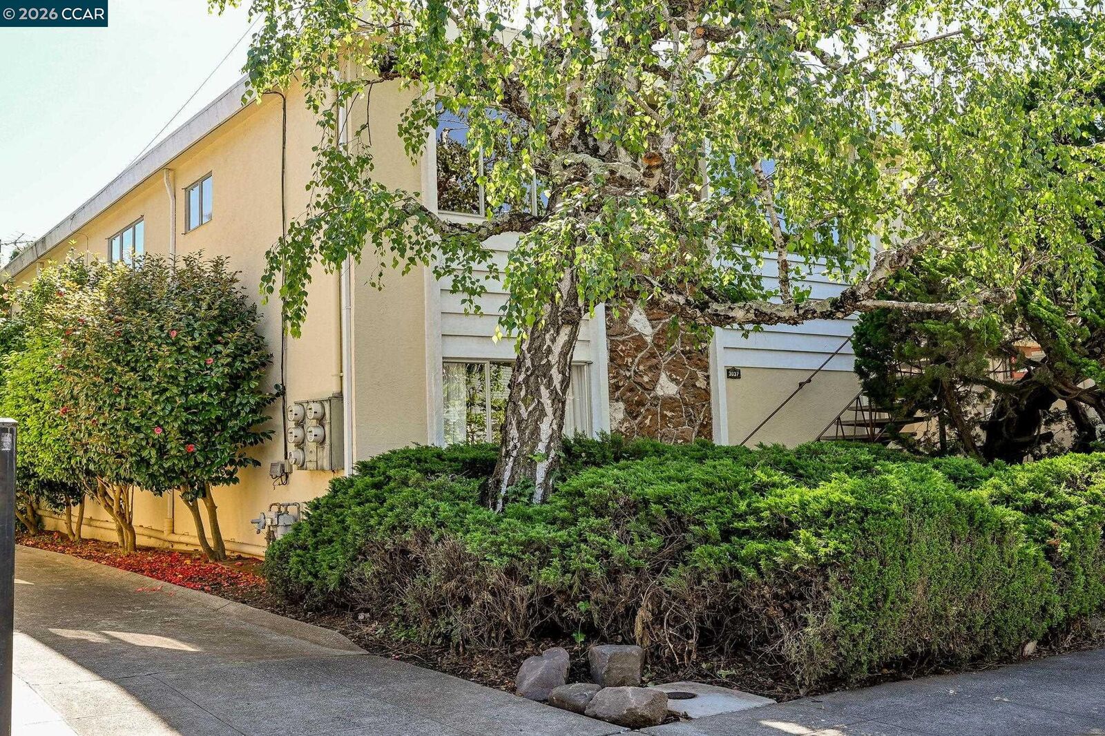 Property Photo:  3037 College Ave  CA 94705 