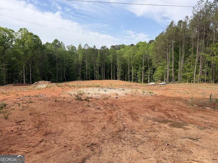 Property Photo:  1518 English Road  GA 31029 