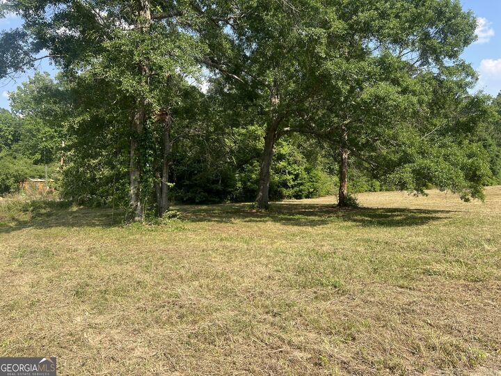 Property Photo:  323 Forrest Clary Drive  GA 30824 