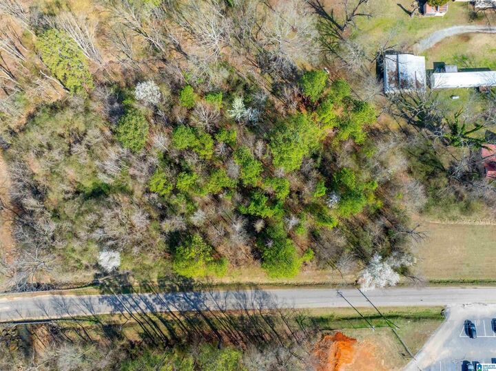 Property Photo: Lot 3 Francis Street 3 AL 36265