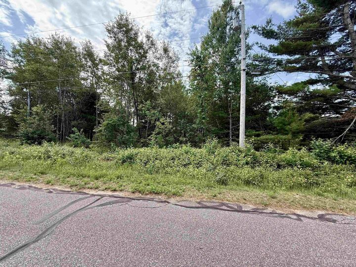 Property Photo:  340 Taylor Road  MI 49841 