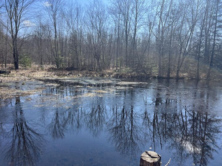 Property Photo:  243 W Turkey Lane  MI 49349 