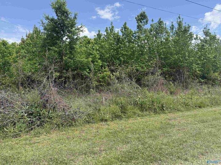 Property Photo:  Lot 15 Village Lane  AL 35901 