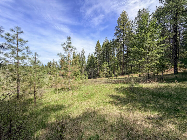 Property Photo:  822 J Barzee Rd  WA 99114 