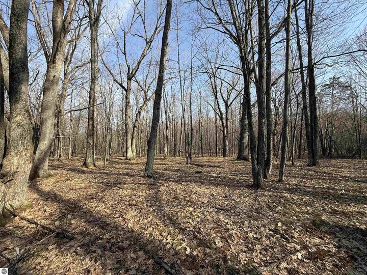 Property Photo:  11221 SE Behlke Road  MI 49633 