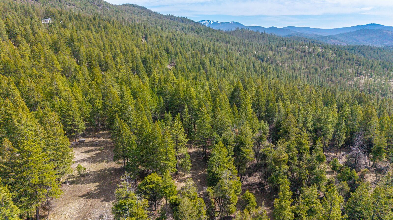 Property Photo:  2520 Haywire Gulch  MT 59901 