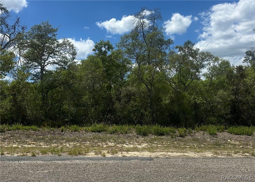 Property Photo:  8036 N Wayside Avenue  FL 34433 