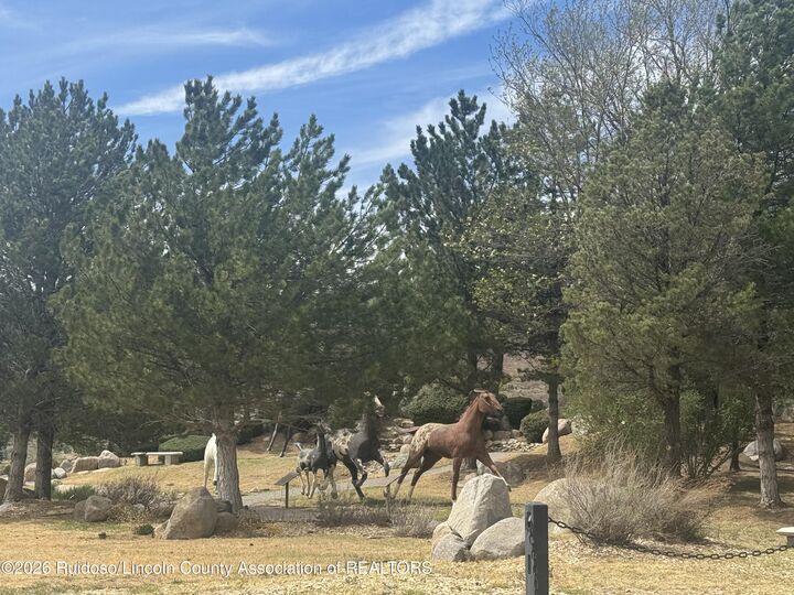 Property Photo:  26303 US-70 #511  NM 88346 