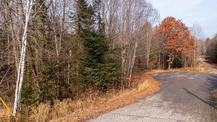 Property Photo:  181 Clarkes Lane  ON P0B 1M0 