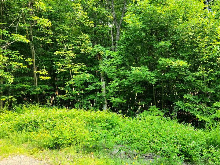 Property Photo: 32 Mount Vernon Trail 22 ON P1H 1E3