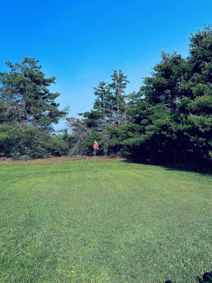 Property Photo:  360 Estelle Road  MI 49735 