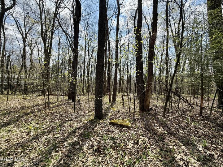 Property Photo:  Lot 13 Timerman Road  PA 16625 