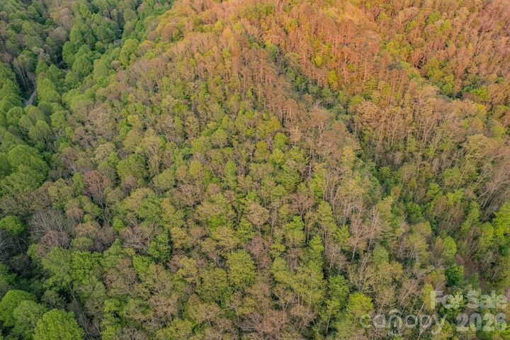 Property Photo:  000 Unahala Creek Drive  NC 28713 