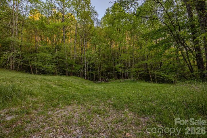 Property Photo: 000 Unahala Creek Drive NC 28713