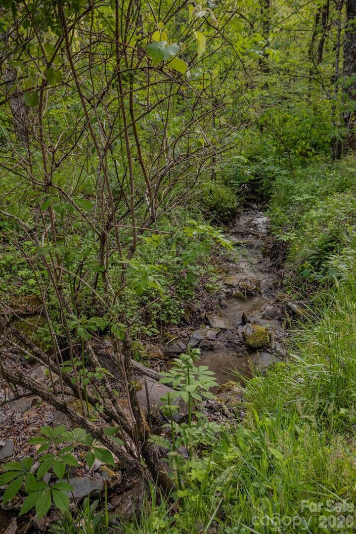 Property Photo: 000 Unahala Creek Drive NC 28713