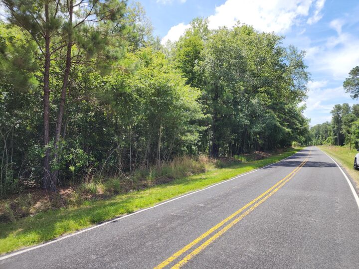 Property Photo:  019 Thomas Kate Road  SC 29437 