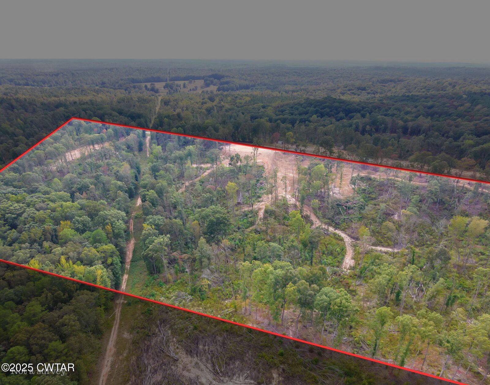 Property Photo:  225 State Route  TN 38340 