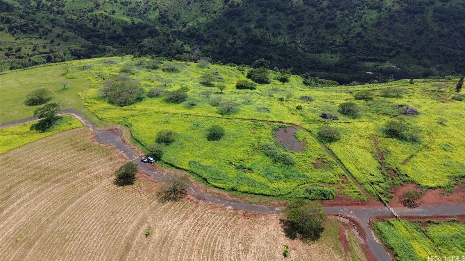 Property Photo:  65-283 Kaukonahua Road 17  HI 96791 