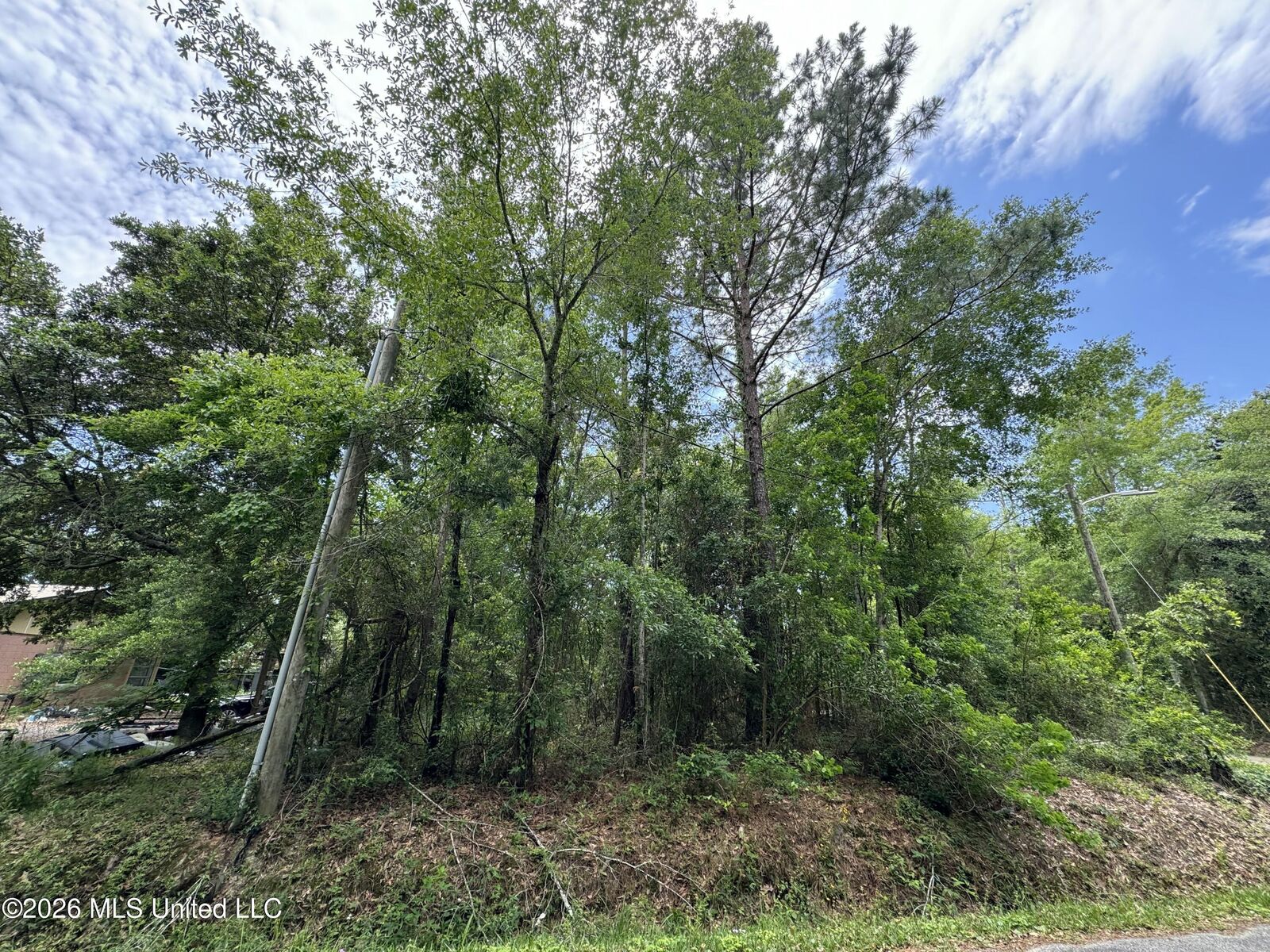 Property Photo: 000 Dicks Street MS 39576