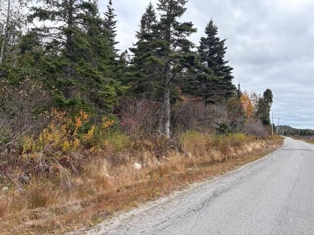 Property Photo:  0 Boot Cove Road  ME 04652 