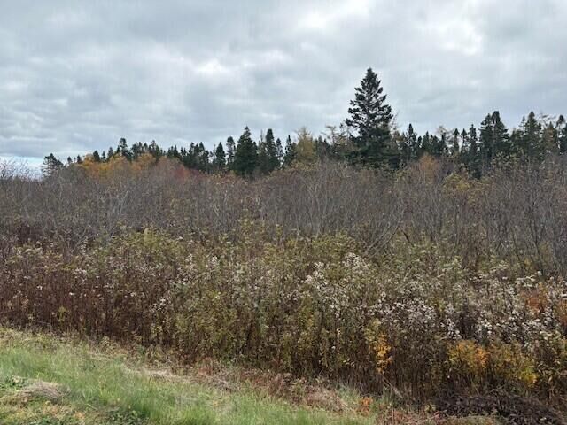 Property Photo:  M1 L25 E+I Boot Cove Road  ME 04652 