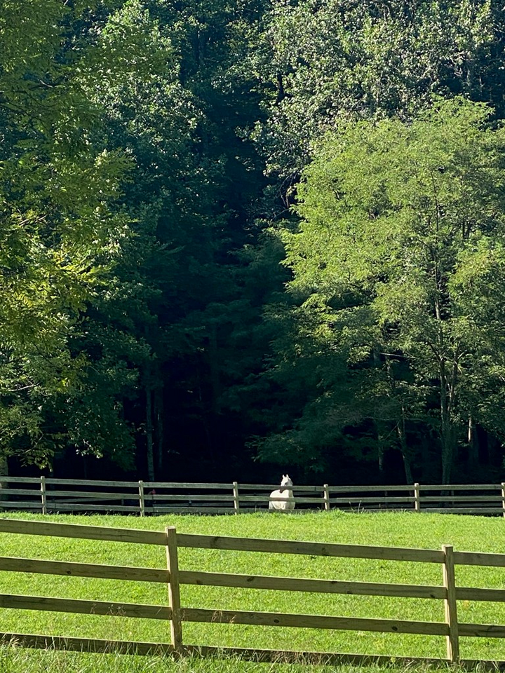 Property Photo:  Tract 3 Doublehead Gap Road  GA 30513 