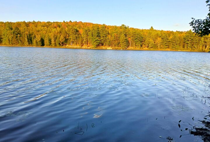 Property Photo:  Tall Timber Drive  NH 03753 