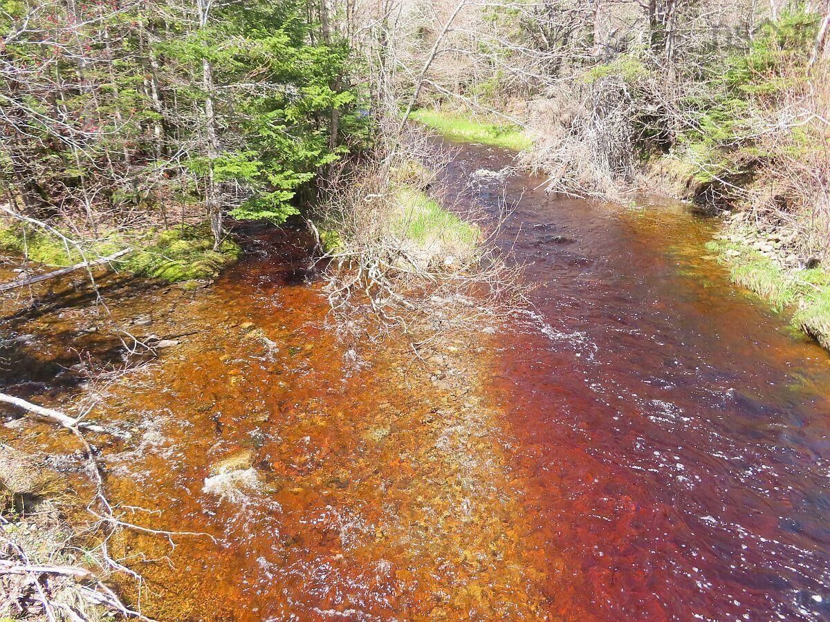Property Photo:  128.5 Acres West Side Road  NS B0H 1J0 