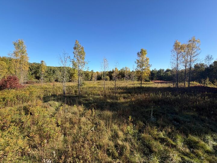 Property Photo:  Tbd Riverview Place  MN 56465 