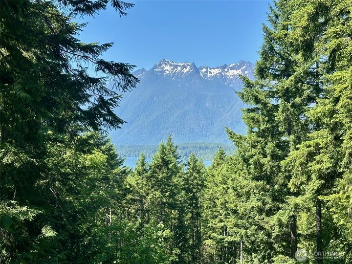 Property Photo:  5154 N Lake Cushman Road  WA 98548 