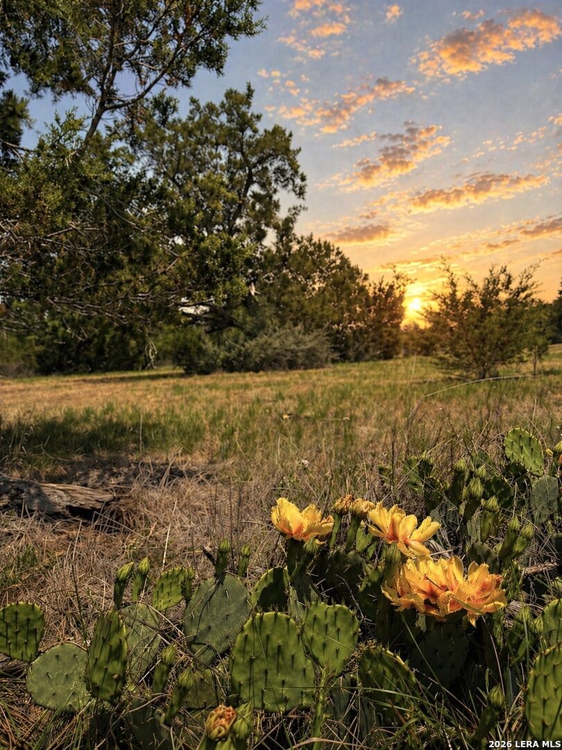 Property Photo:  174 Waterman Ln  TX 78063 