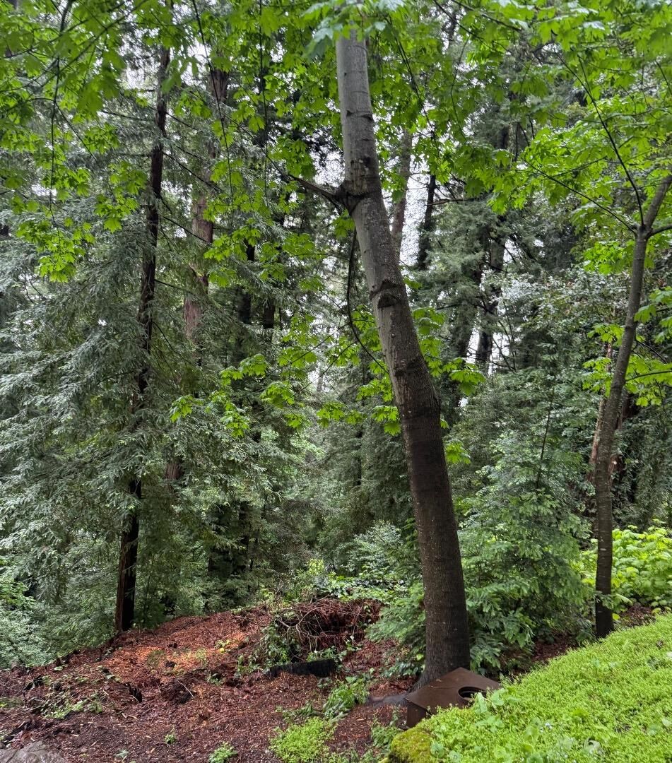 Property Photo:  18151 Mountain View Court  CA 95044 