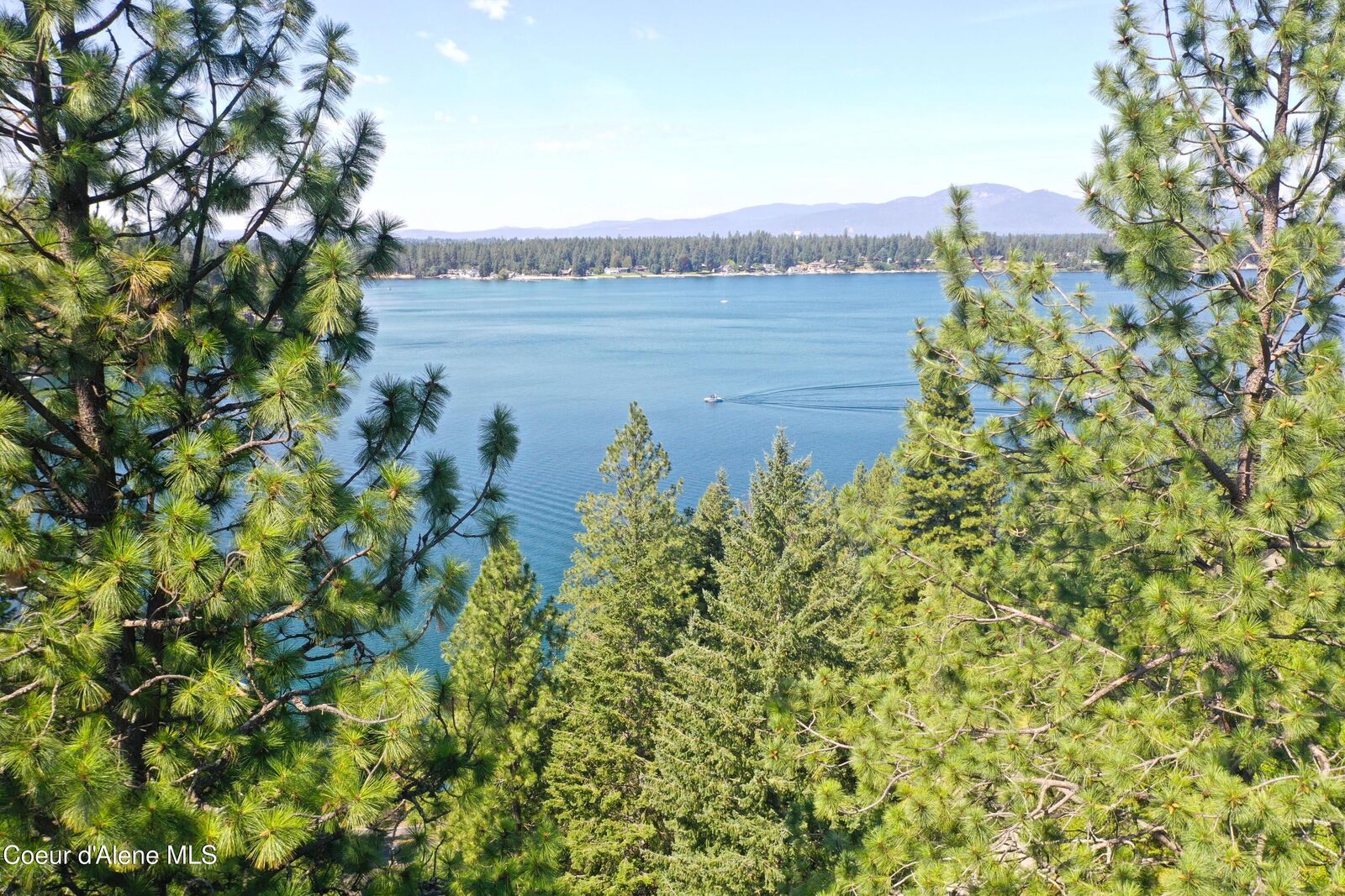 Property Photo:  Nka N Half Mile Ln  ID 83835 