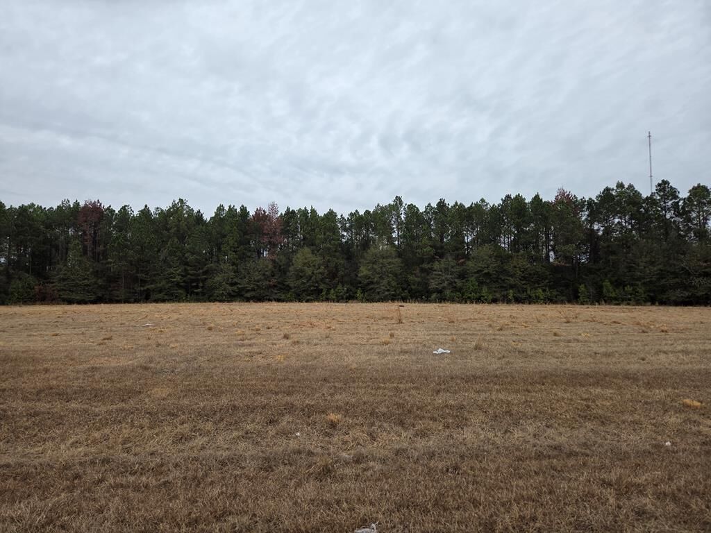 Property Photo:  118 Joe Wright Drive/New Harvest Road Lot D  GA 31015 