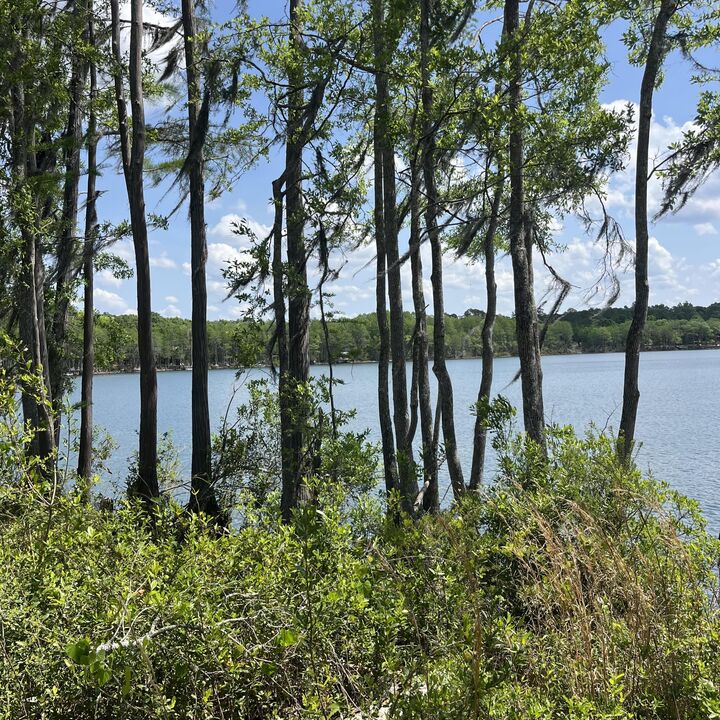 Property Photo:  Tbd Blue Pond Circle Circle  FL 32455 