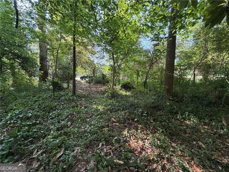 Property Photo: 0 Manning Drive GA 30009