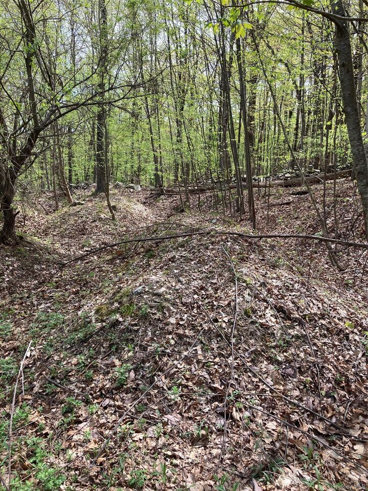 Property Photo: Canterbury Drive NY 12550